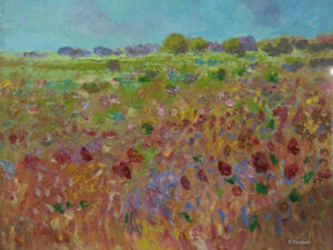Carlos Cordaro - Campo florido