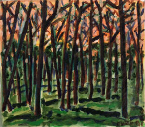 Duilio Pierri - Bosque
