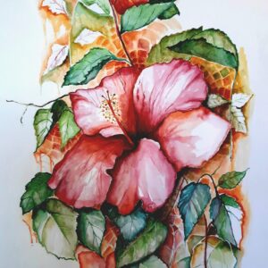 Elsa Bouza Campos - Hibiscus en flor
