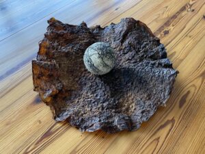 Vale Calabrese - Centro de mesa de Celulosa bacteriana (scoby) y cafe