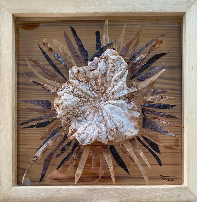 Vale Calabrese - Roseta - VENDIDA