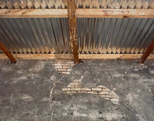 Nora Dobarro - Techo nuevo