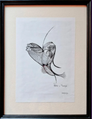 Vero Nieuwenhuyse - Pasos y tiempo