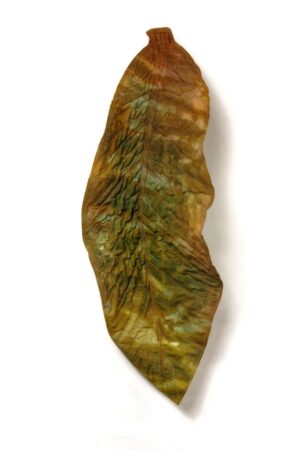 Teresita Leal - Hoja - VENDIDA