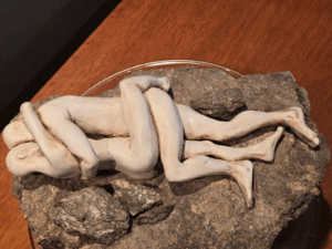 Magui Borelli - Almas gaviotas