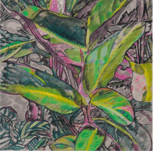 Gerardo Irigoin - Fiesta