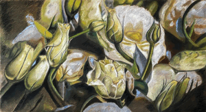 Gerardo Irigoin - Distinción