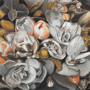 Gerardo Irigoin - Sensibilidad