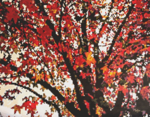 Selva Varela - Otoño