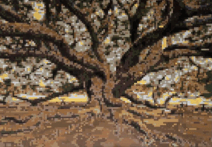 Selva Varela - Ombú