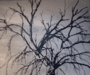 Selva Varela - Sin título - VENDIDO