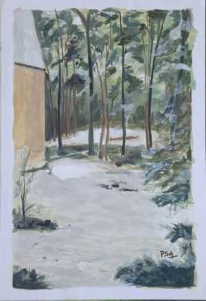 Patricia Schoch - Ushuaia nevada