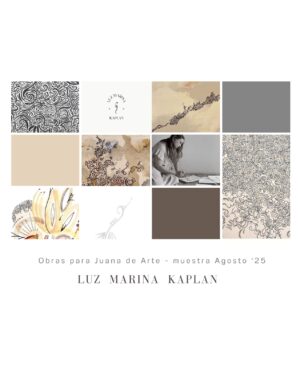 Luz M. Kaplan - 1 Memoria conceptual