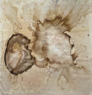 Luz M. Kaplan - Sismo