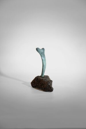 Mariana Lang - Costilla