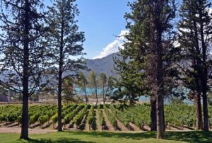 Leonardo M. Pagano Blotta - Panorama de Luján de Cuyo