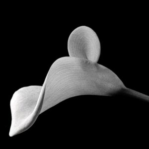 Claudia Ocanto - Cala 2 (Córdoba)