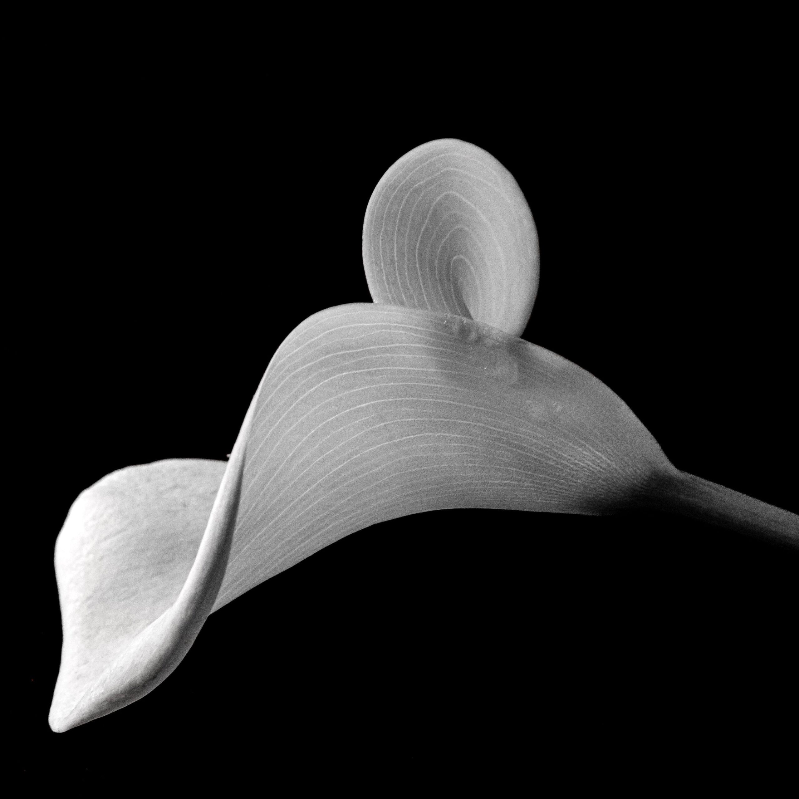 Claudia Ocanto - Cala 2 (Córdoba)