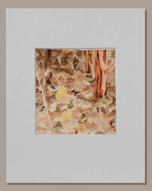 Mariana Lang - Acuarela: Textura terrestre II