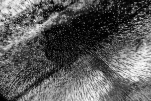 Rox Boyer - Confusión (Serie "Química")