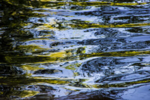 Rox Boyer - Remanso (Serie "Química")