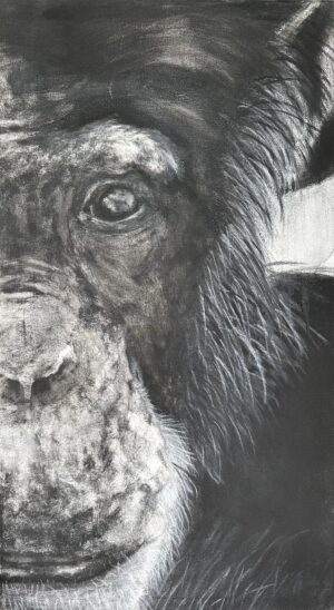 Gaby Gürtner - Ancianidad