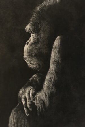 Gaby Gürtner - El pensador de Darwin