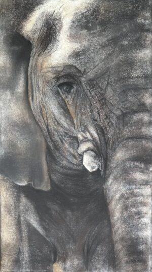 Gaby Gürtner - El destino de Mara