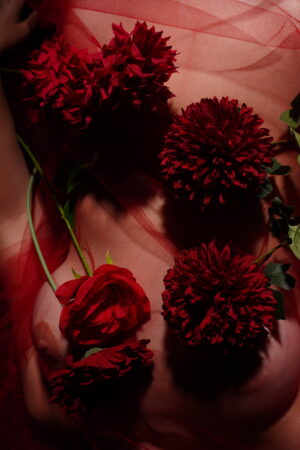 Darío Duarte - El templo silente