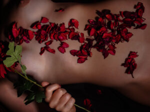 Darío Duarte - Revelando el velo