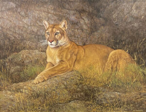Lote 50 - Gabriel Hermida “Puma”
