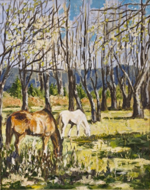 Ronaldo Maciel - Primavera en la chacra